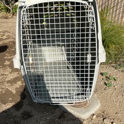 Dog House 