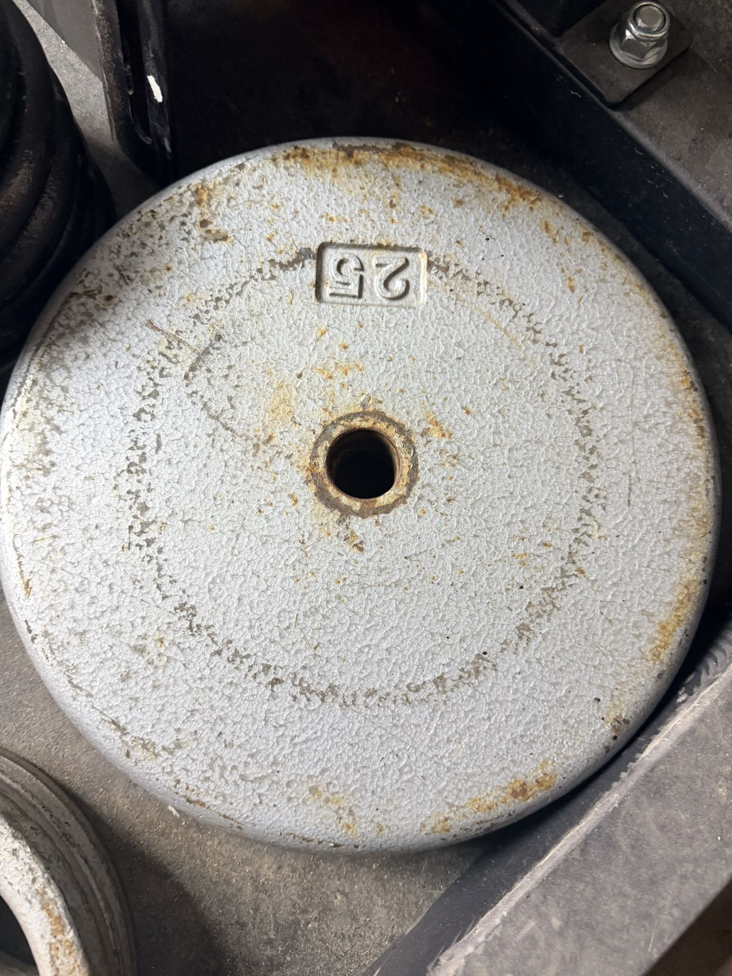 Standard Plate Set With Curl Bar