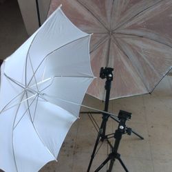 Photography Umbrelas