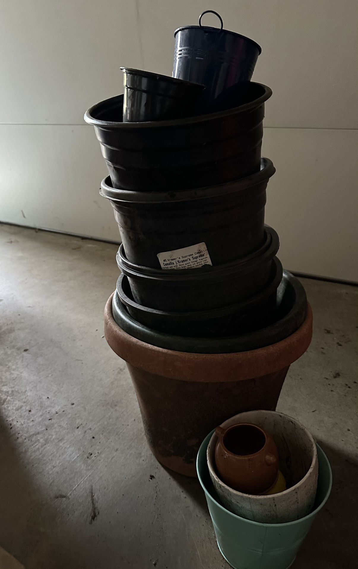 Free Plant Pot