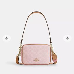 Coach Powder pink mini Carey