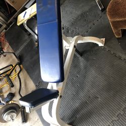 Cybex Incline Adjustable Bench 