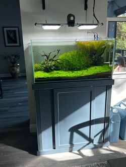 Premium ADA Aquarium Setup