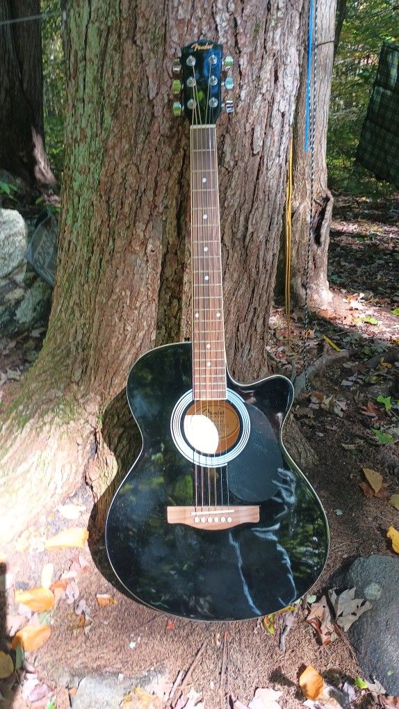 Fender. Acoustic Elect. F 130 New Nice W Case