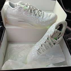 Zion 3
