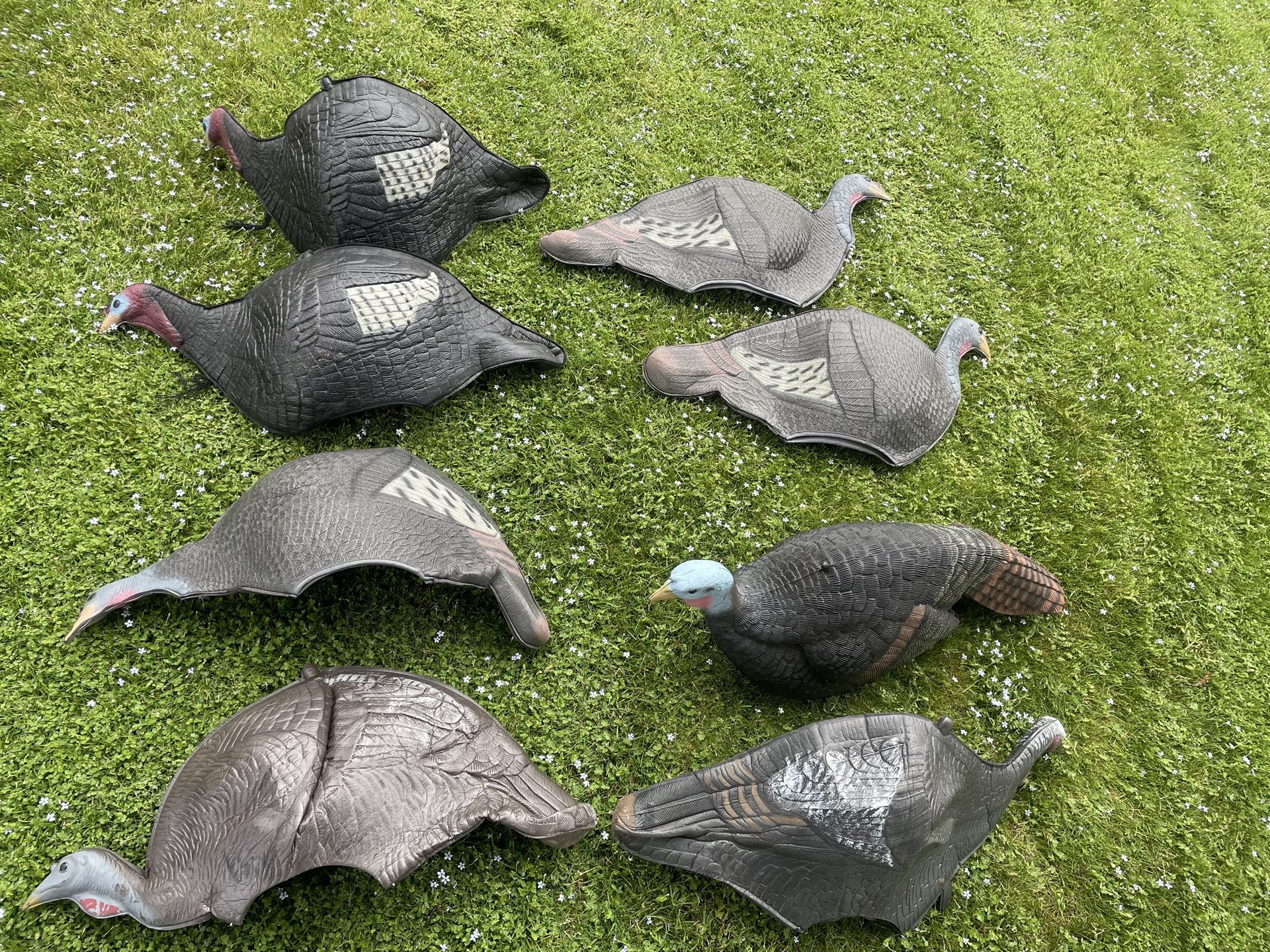 Turkey Decoys
