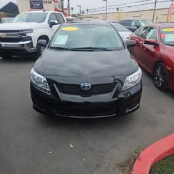 2010 TOYOTA COROLLA 