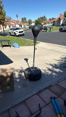 Punching Bag