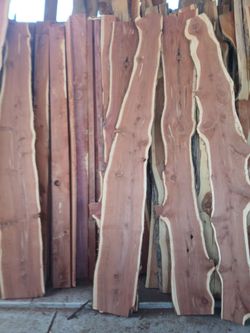 Live Edge Cedar Wood Slabs