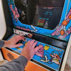 Nintendo DONKEY KONG Jr