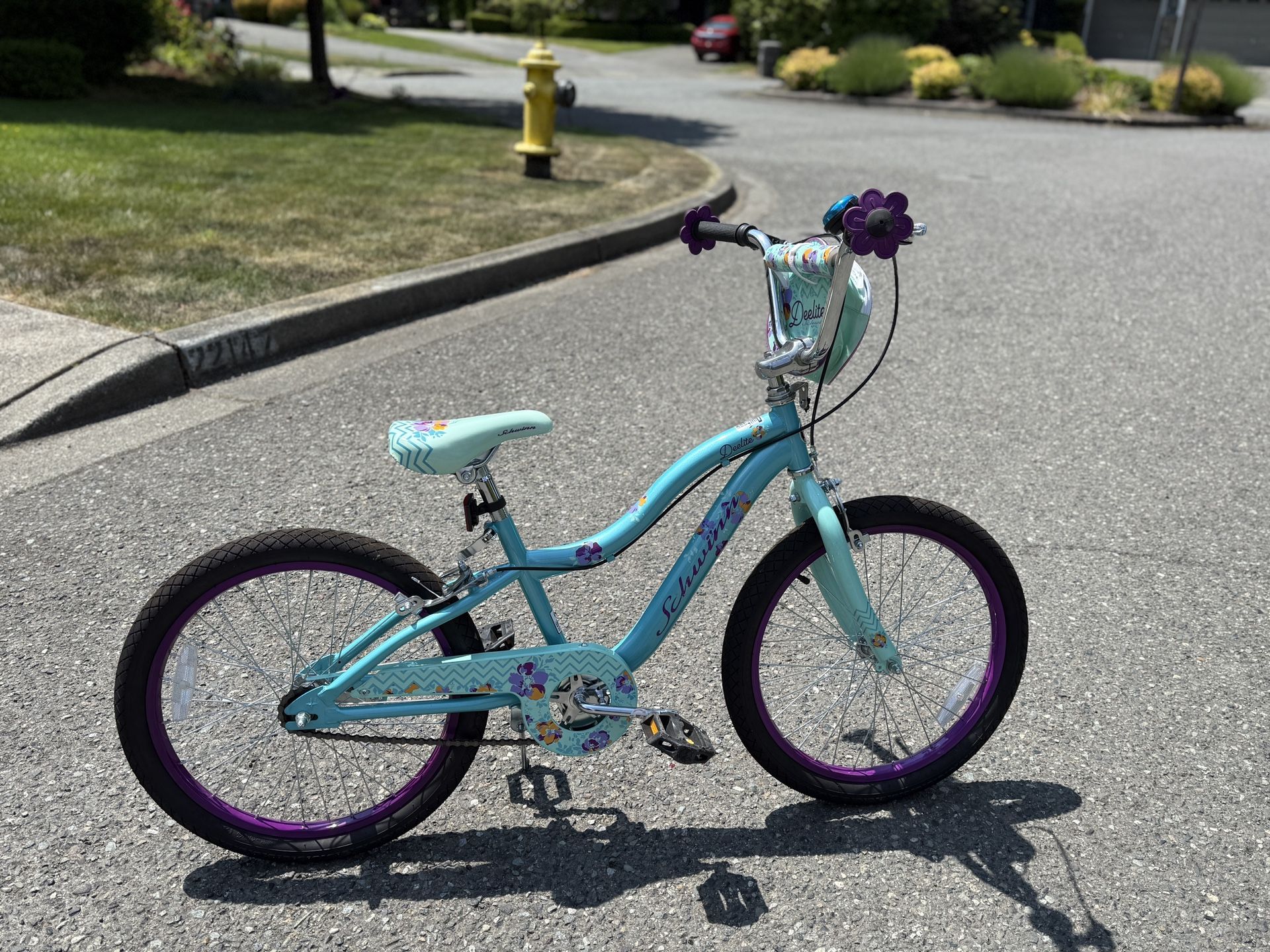 Schwinn Deelite 20" Kids' Bike -Excellent!! Condition