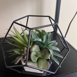 Fake Succulent 