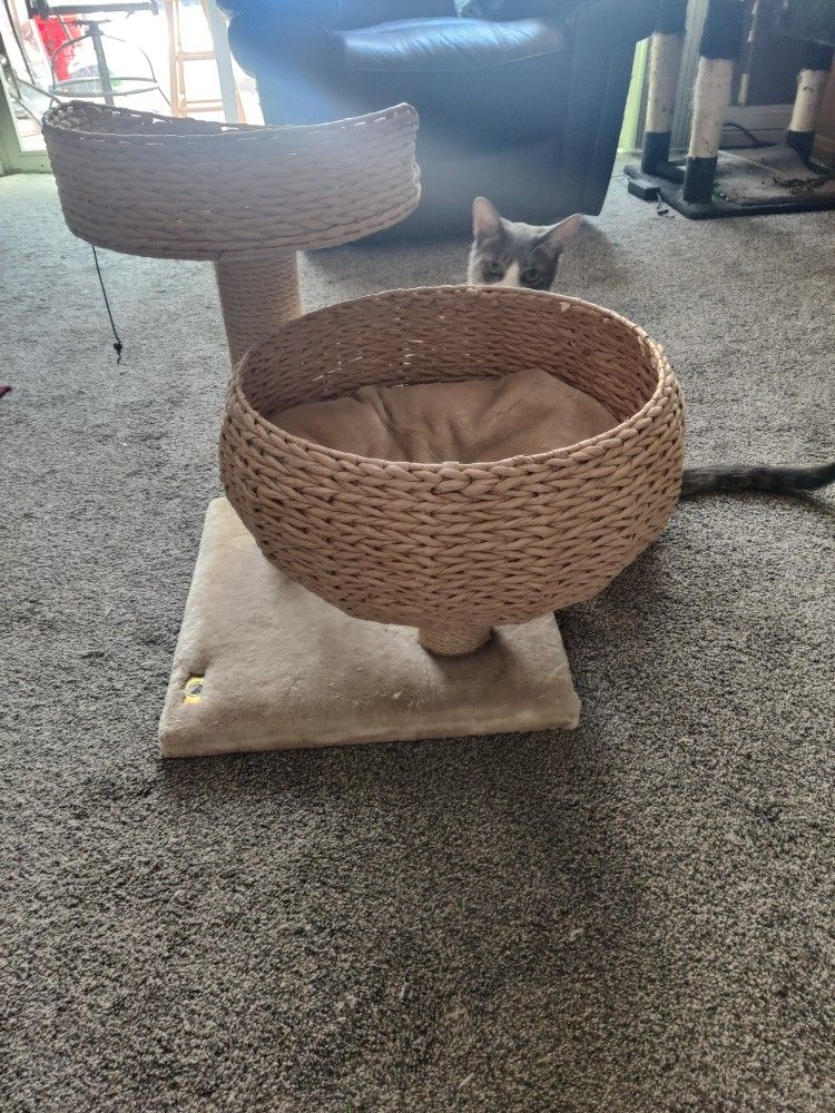 Cat Tree