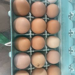 Farm fresh Eggs 