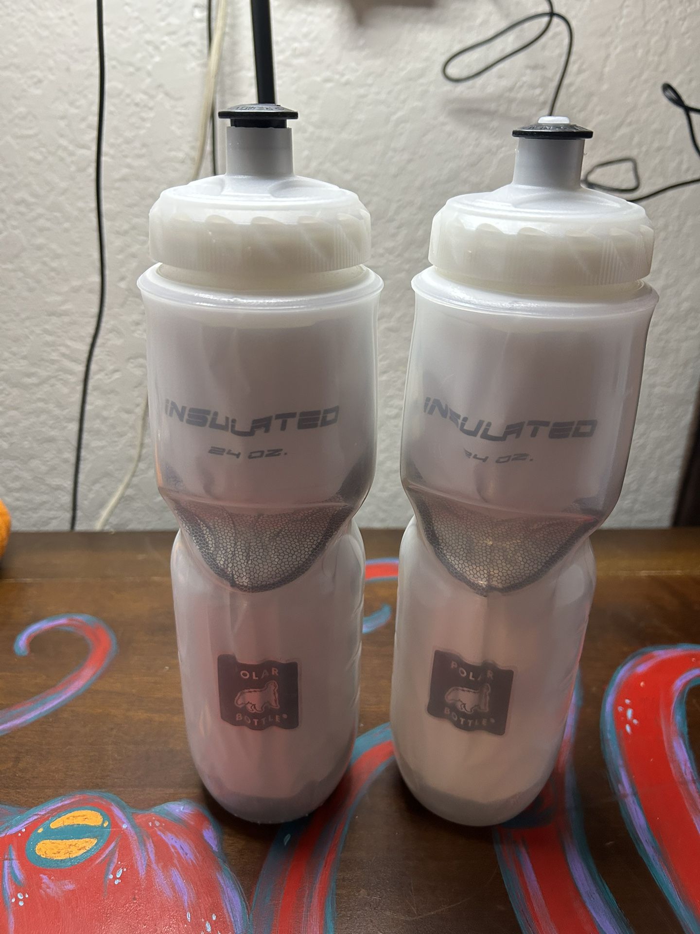 2-Pack Polar Bottle Insulated Water Bottles – 24oz