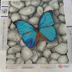 Blue Butterfly On Stones