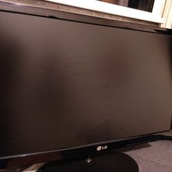 LG 22" PC Monitor