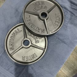 Pair Of 35 Lbs Olympic Plates