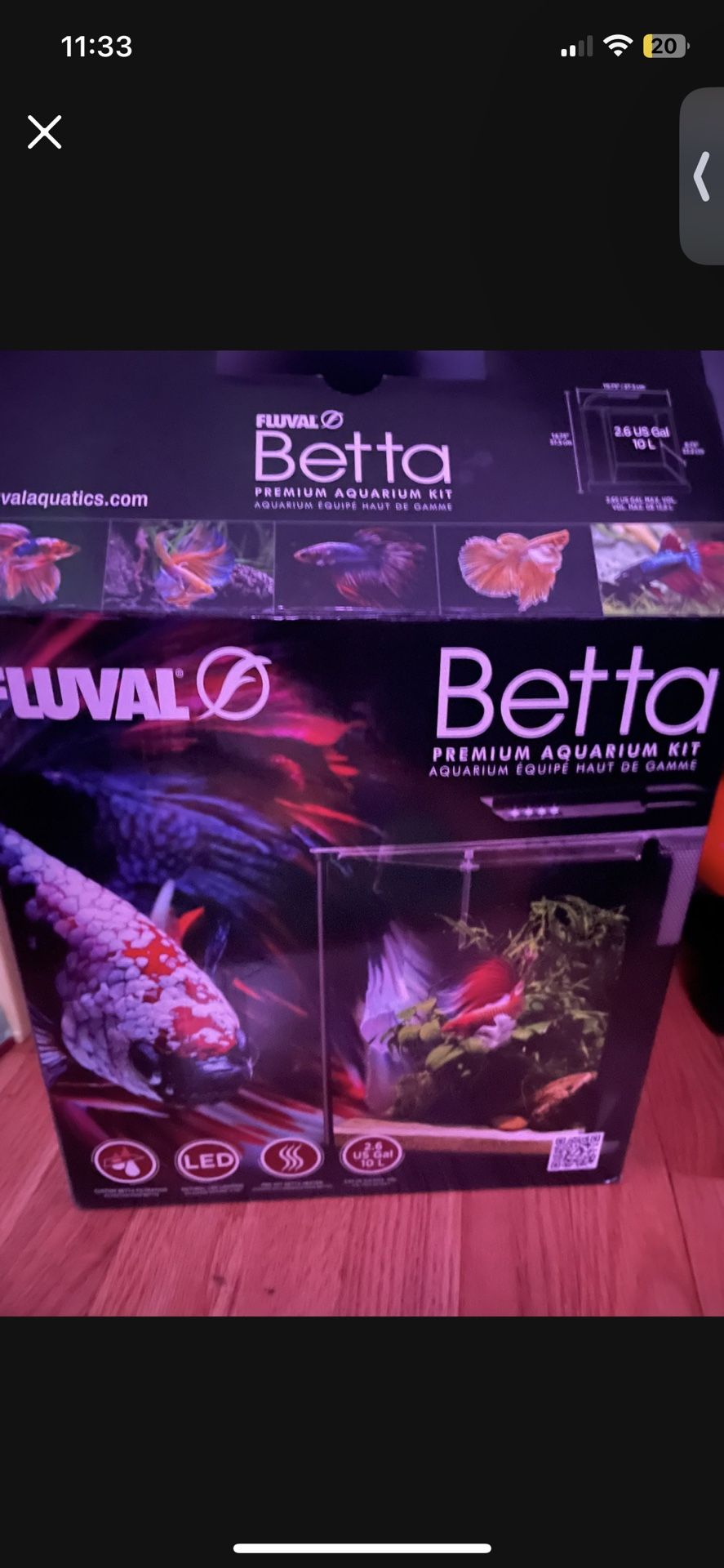 Betta Fish Tank