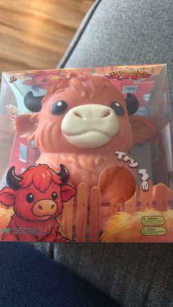 highland cow
