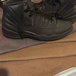 Size 11.5 Jordan 12 Winterized (Perfect Condition) 