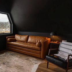 Leather Sleeper Sofa