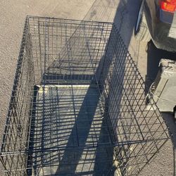 Xl kennel