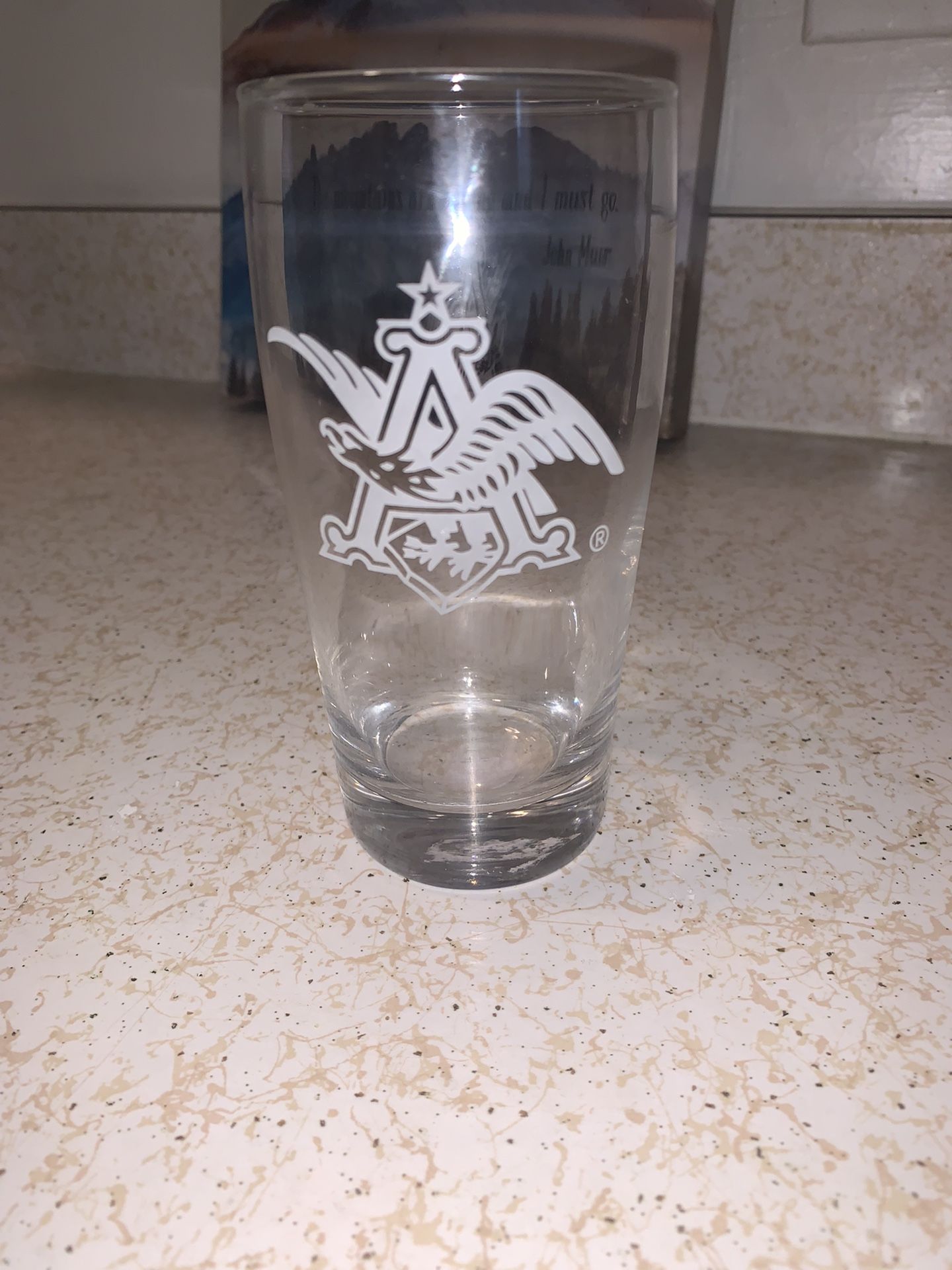 Anheuser Busch Etched Logo Glass