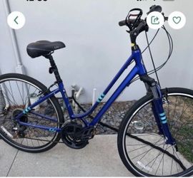 Liv Women's Hybrid Comfort Bike