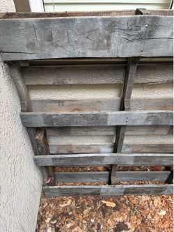 Wood Pallet