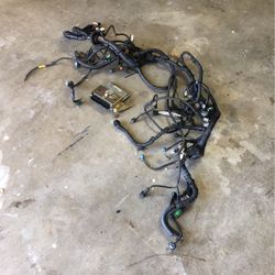 Nissan Engine Harness 2005 V6 3.5 Altima
