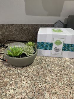 Scentsy Wax Warmer