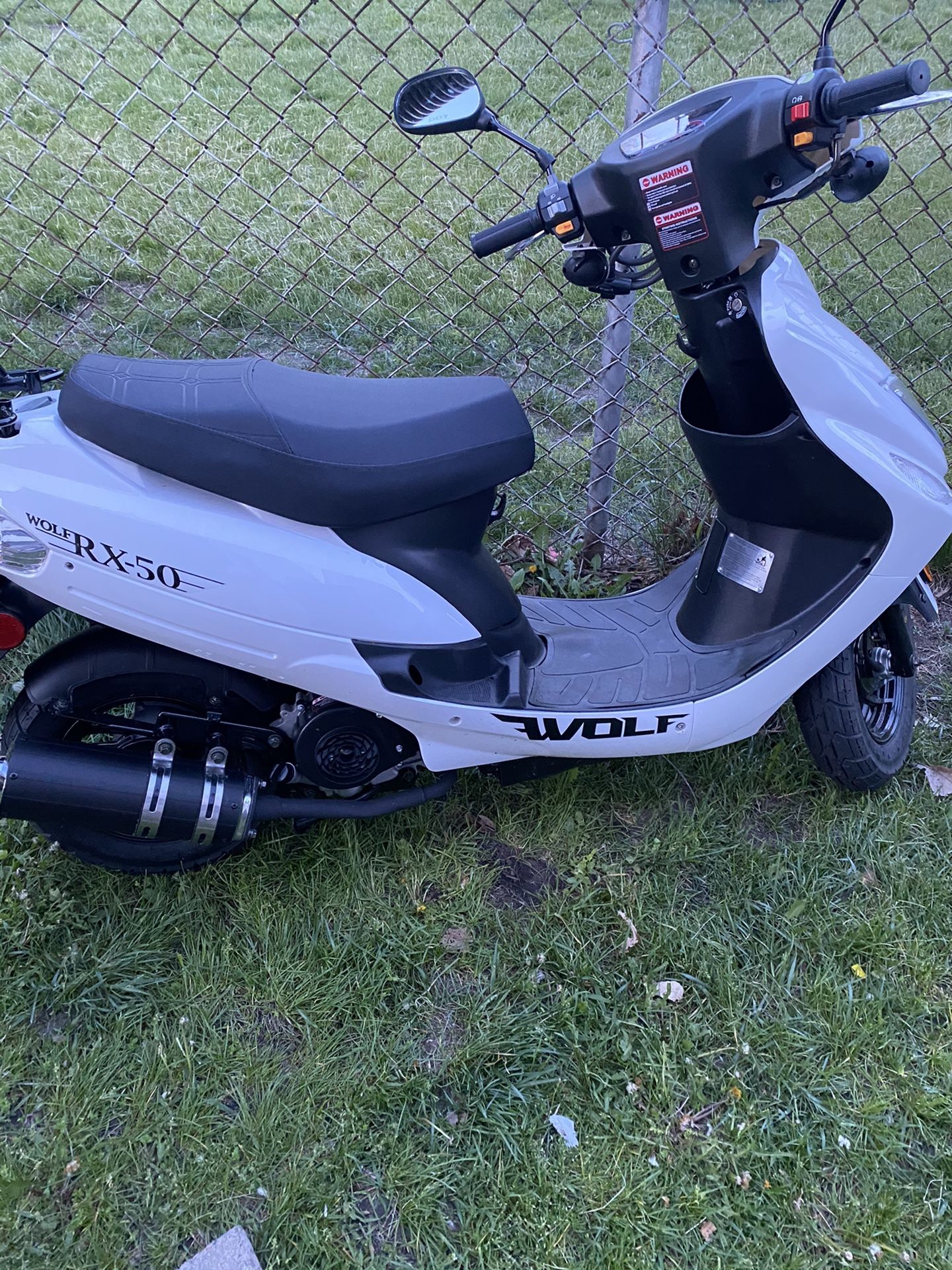 2021 wolf rx-50 moped brand new. no problems. cash only 