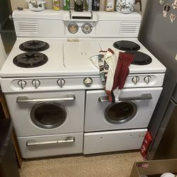 Vintage western holly 