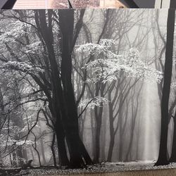 Black & White Photo On Canvas
