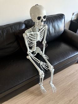 Life size Posable Halloween Skeleton