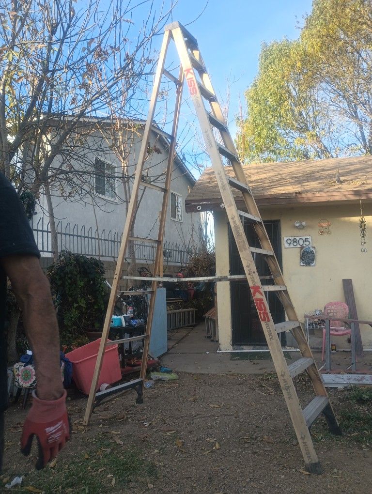 12 Ft Step Ladder