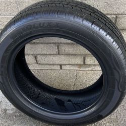 215/55R17 Evoluxx Capricorn HP