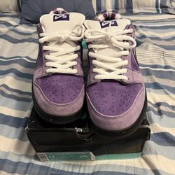 Purple Lobster Dunk Low Size 10