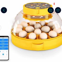 Ponhu 16 Egg Incubator, Incubators for Hatching Eggs, Intelligent Temperature Control, Egg Candler and Humidity Control (Yellow) 
