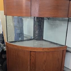 92 Gallon Bow Front Corner Aquarium / Filter / Refugium / Skimmer