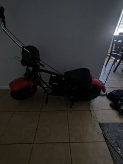 Big boy mini bike