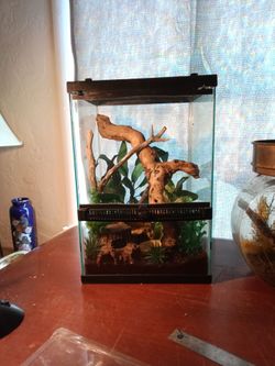 Terrarium