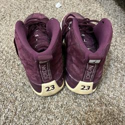 Jordan 12 