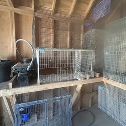 Wire Frame Animal Cages 