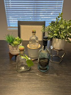 Empty Tequila Bottles