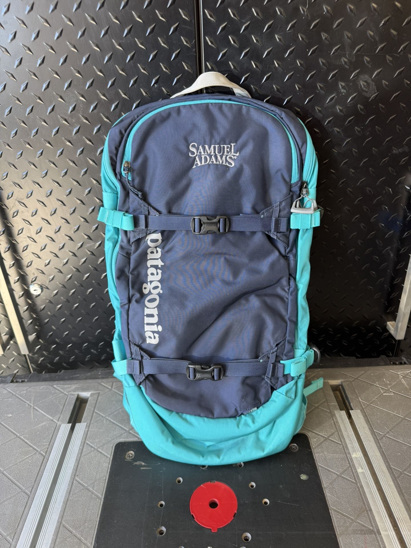Patagonia 20L Backpack