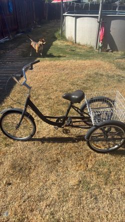 3 Wheeler Bike