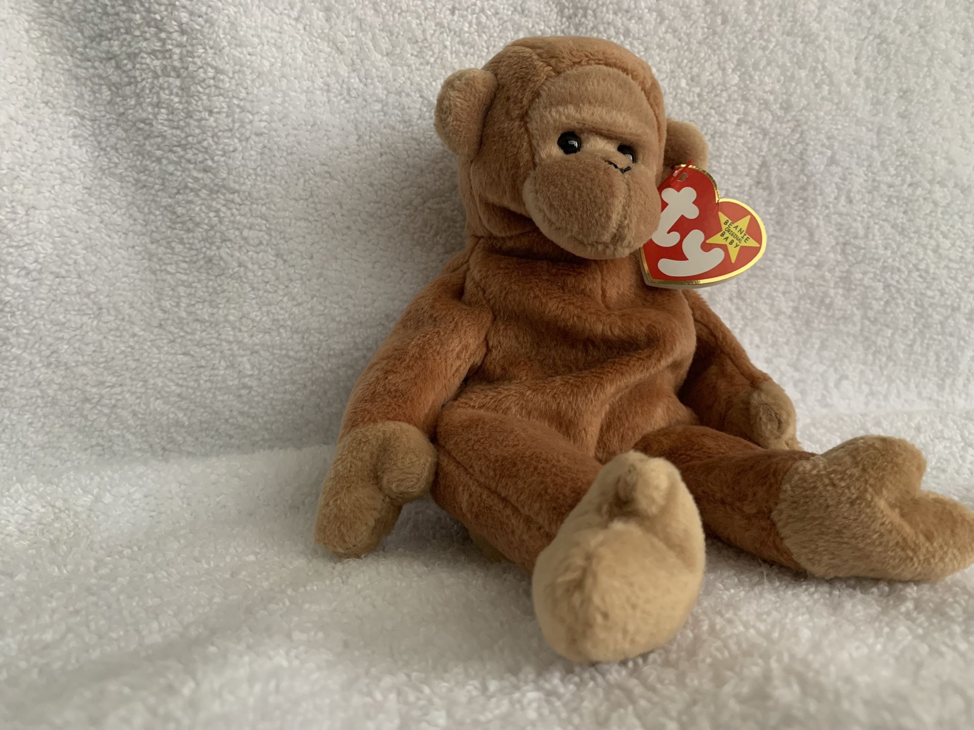 Beanie Baby -Bongo