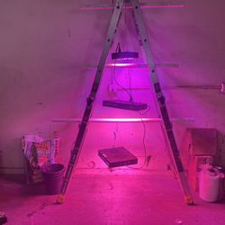 Grow Lights For Sale 